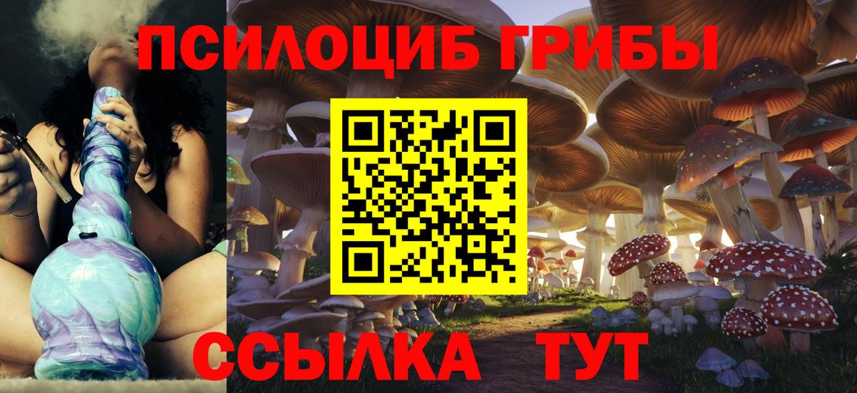 Галлюциногенные грибы Psilocybine cubensis  Вход с VPN  Сызрань 