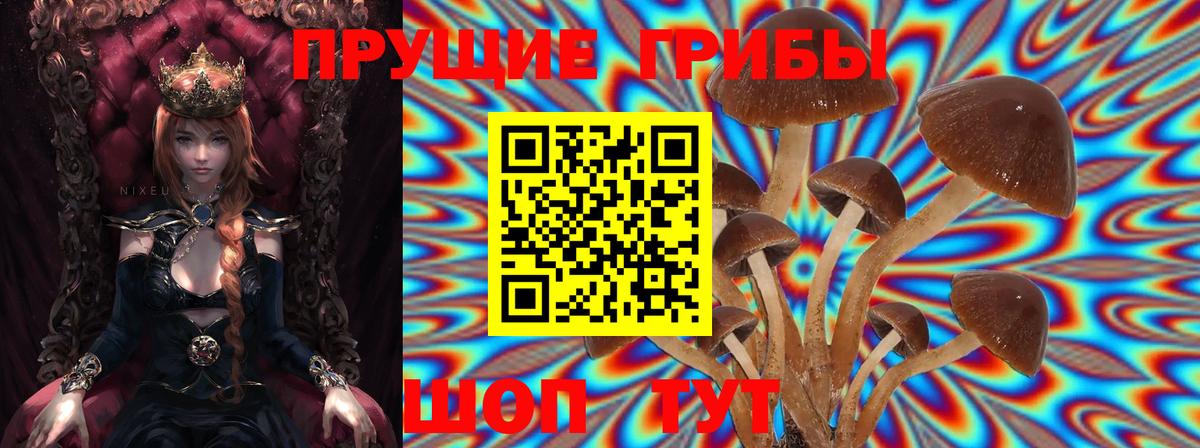 Галлюциногенные грибы прущие грибы Сызрань